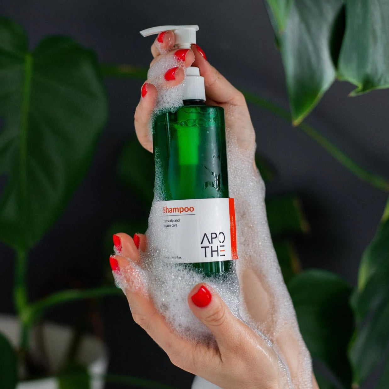 Sebum Control Shampoo by Apothe