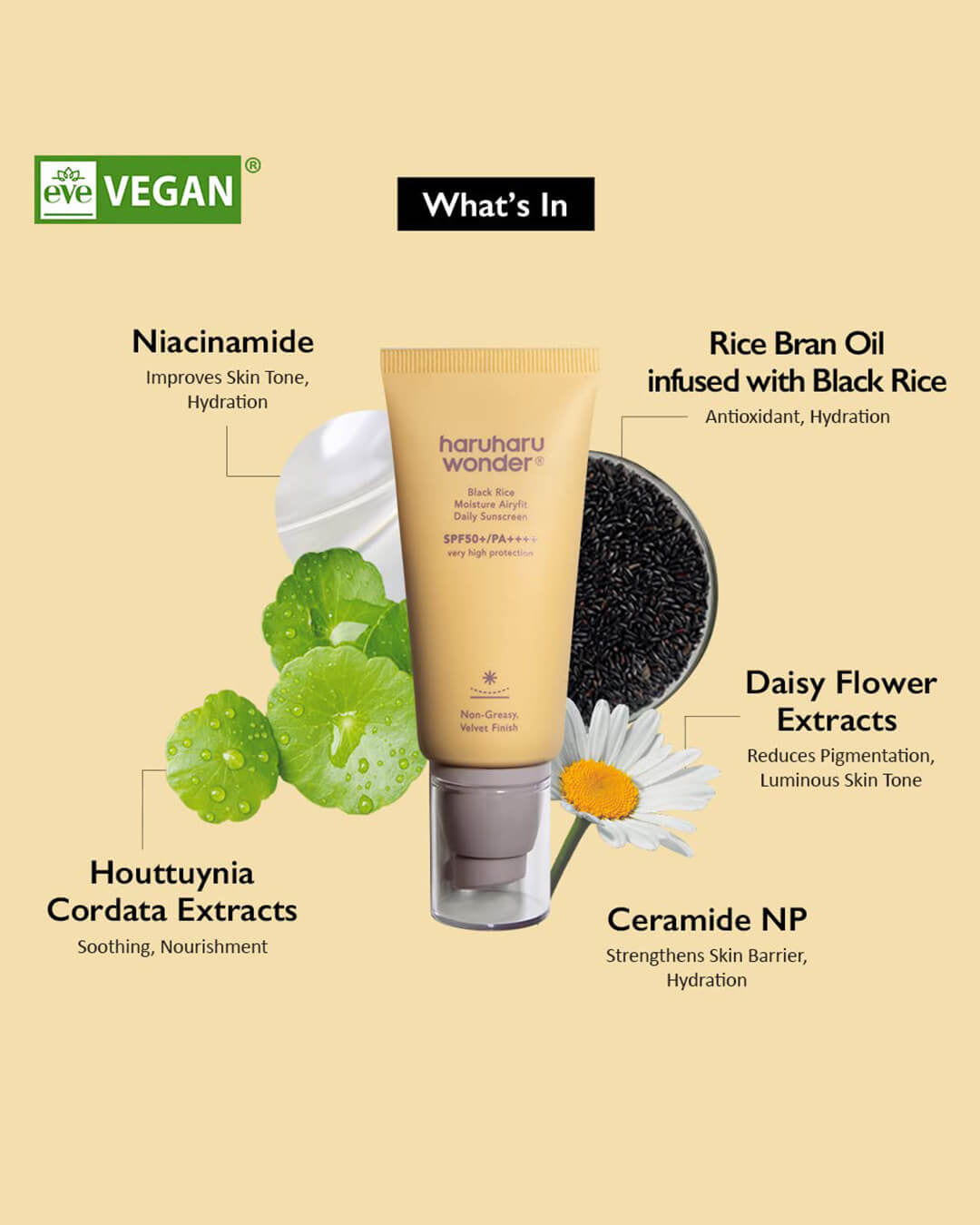 Black Rice Moisture Airyfit Daily Sunscreen SPF50+/PA++++ by Haruharu Wonder