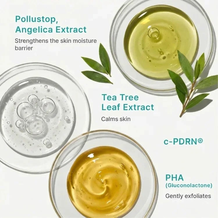 Rebalancing Toner - Rejuvenation with c-PDRN by Rejuran