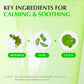 Aloe PDRN Calming Serum - Green Aid by EqqualBerry