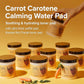 Carrot Caroten Calming Water Pack Pads by SkinFood