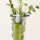 Cold brew Rosemary energising scalp spray with Biotin & Black complex 3 by Rated Green