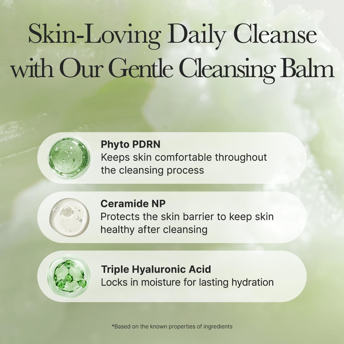 Pore Melt Phyto PDRN Cleansing Balm by Arencia