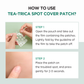 Spot Cover Tea-Cica Patch της Skin1004