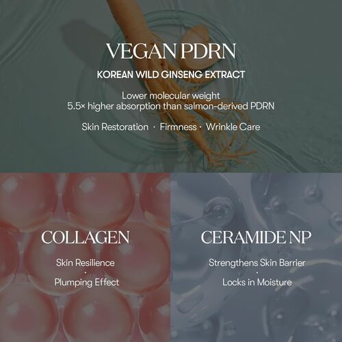 PDRN Essence Stick Balm - Glow & Elasticity Care by VT Cosmetics